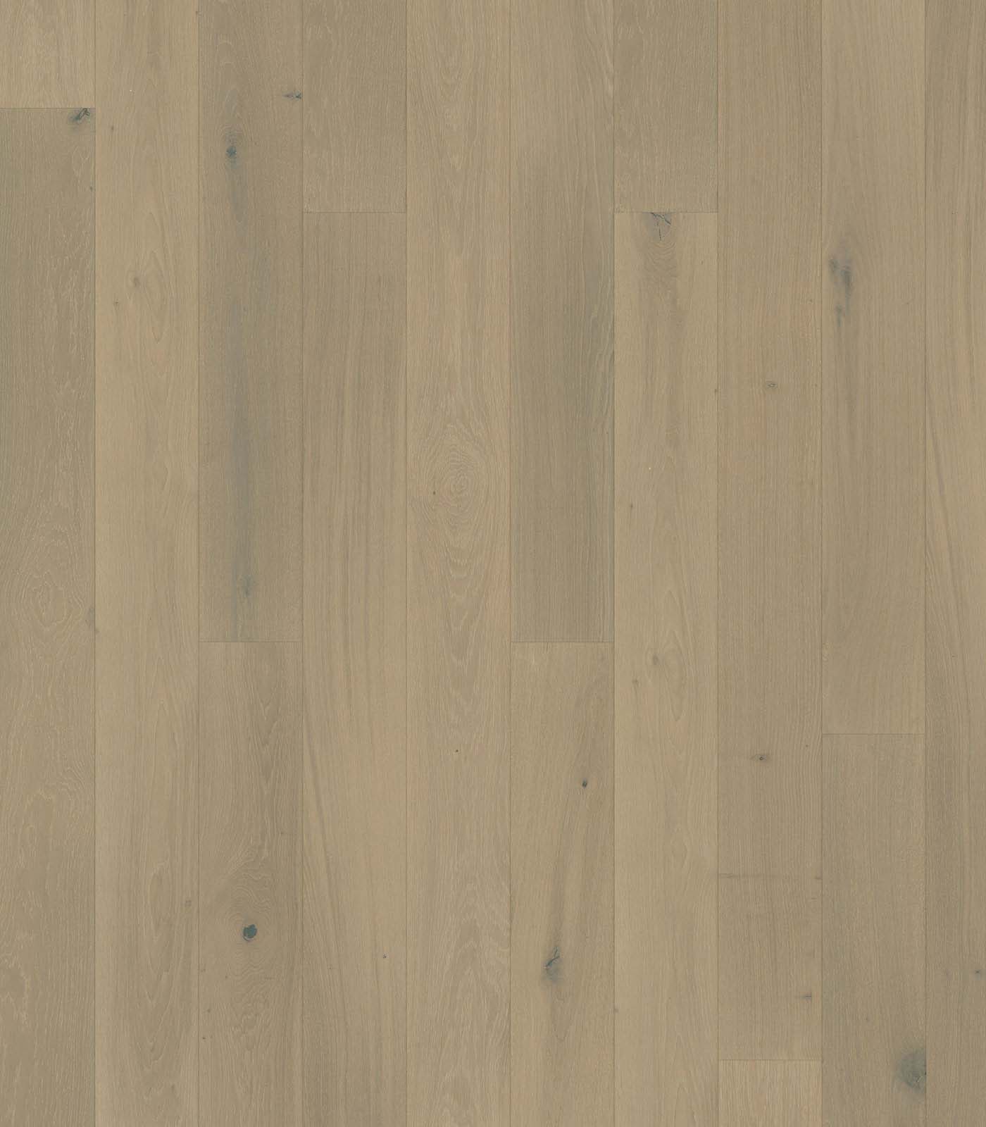 Gardenia European Oak