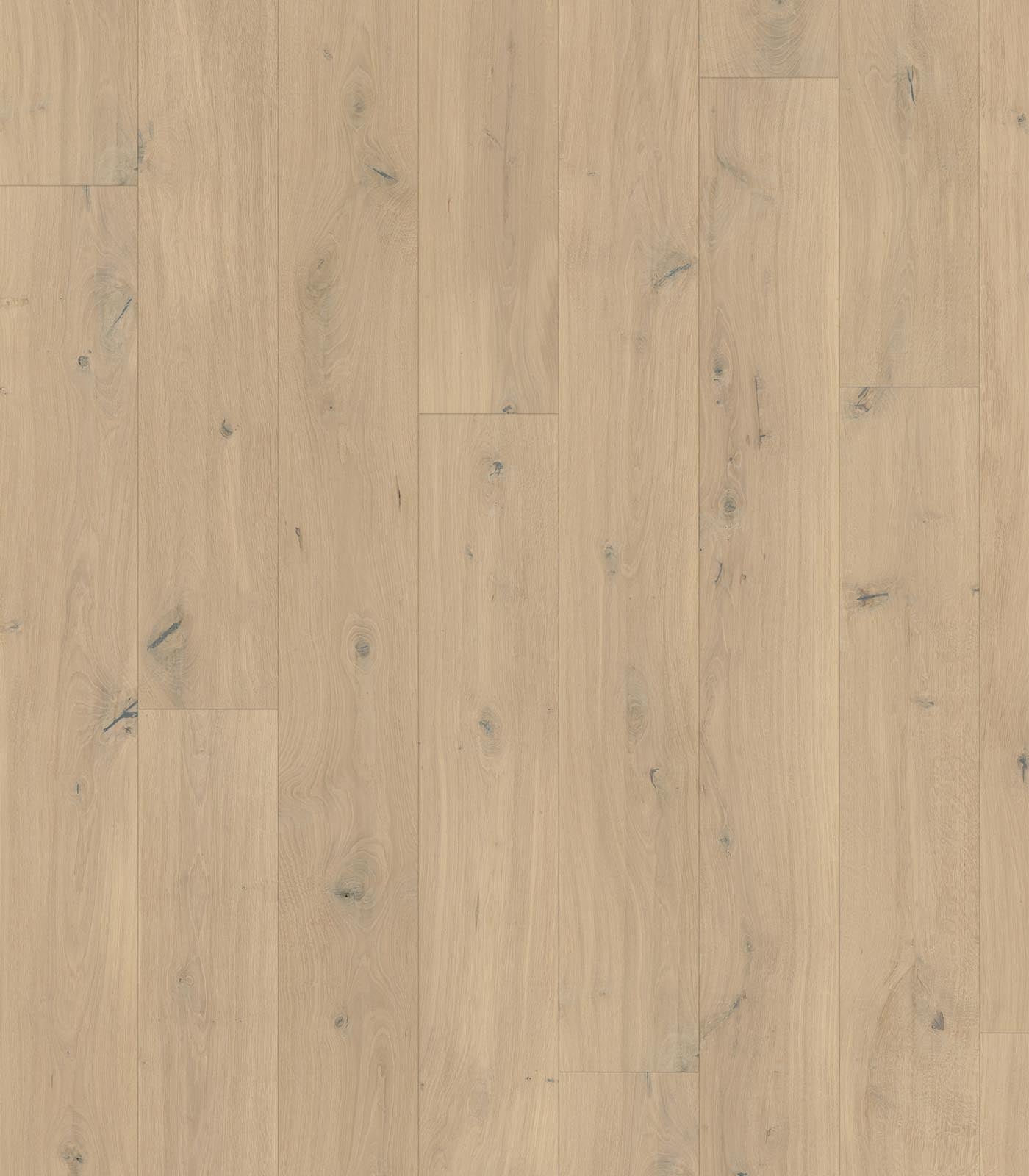 Mont Blanc European Oak - ShippingFloors
