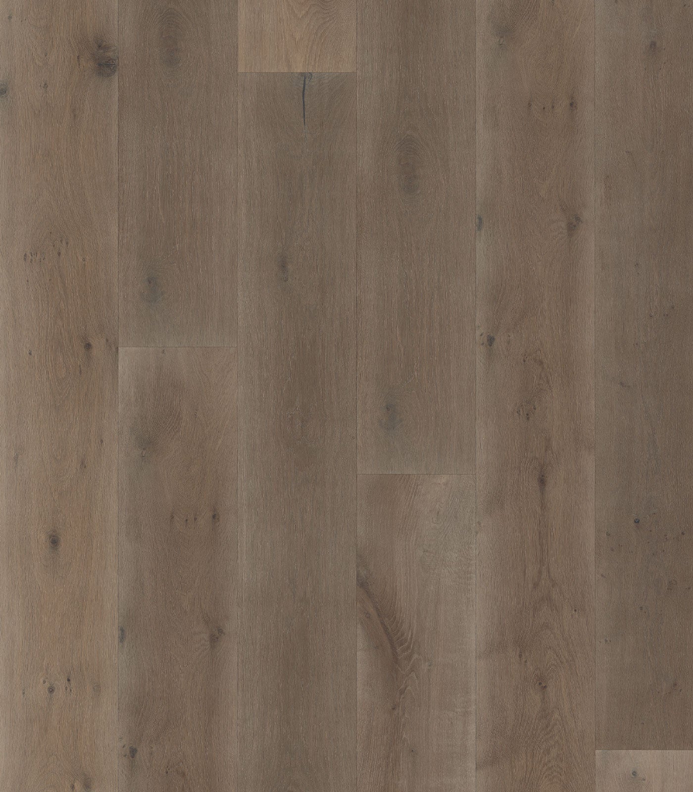 Parana Engineered European Oak Hardwood Flooring - 7 1/2", 9 1/2", 11 1/2" Wide, 72" to 96" Long, 9/16" to 7/8" Thick
