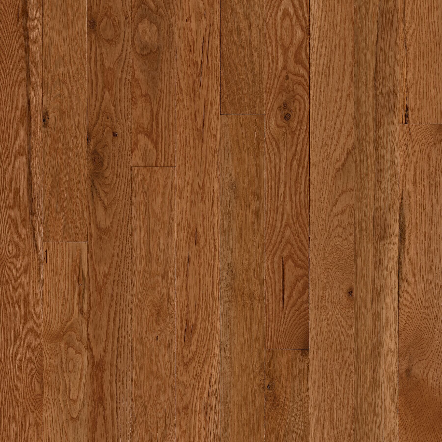 St. Vincent Classic Brown 2-1/4" Wide Appalachian White Oak Solid Hardwood Flooring, 3/4" Thick, Gloss Finish - ShippingFloors