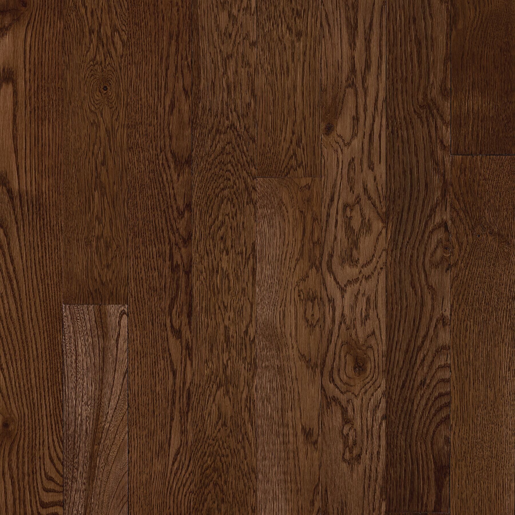 St. Vincent Saddle 3-1/4" Solid White Oak Hardwood Flooring, 3/4" Thick, Medium Brown, High Gloss Urethane Finish - ShippingFloors