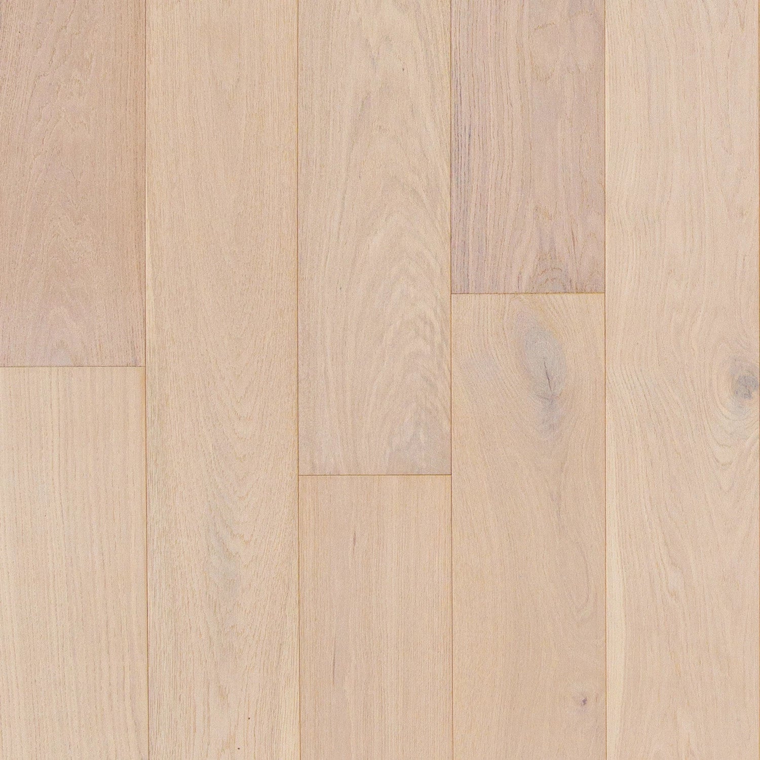 Utmost 7.5" Engineered White Oak Hardwood Flooring - 1/2" Thick, Wirebrushed, UV Aluminum Oxide Finish, Micro Bevel Edge