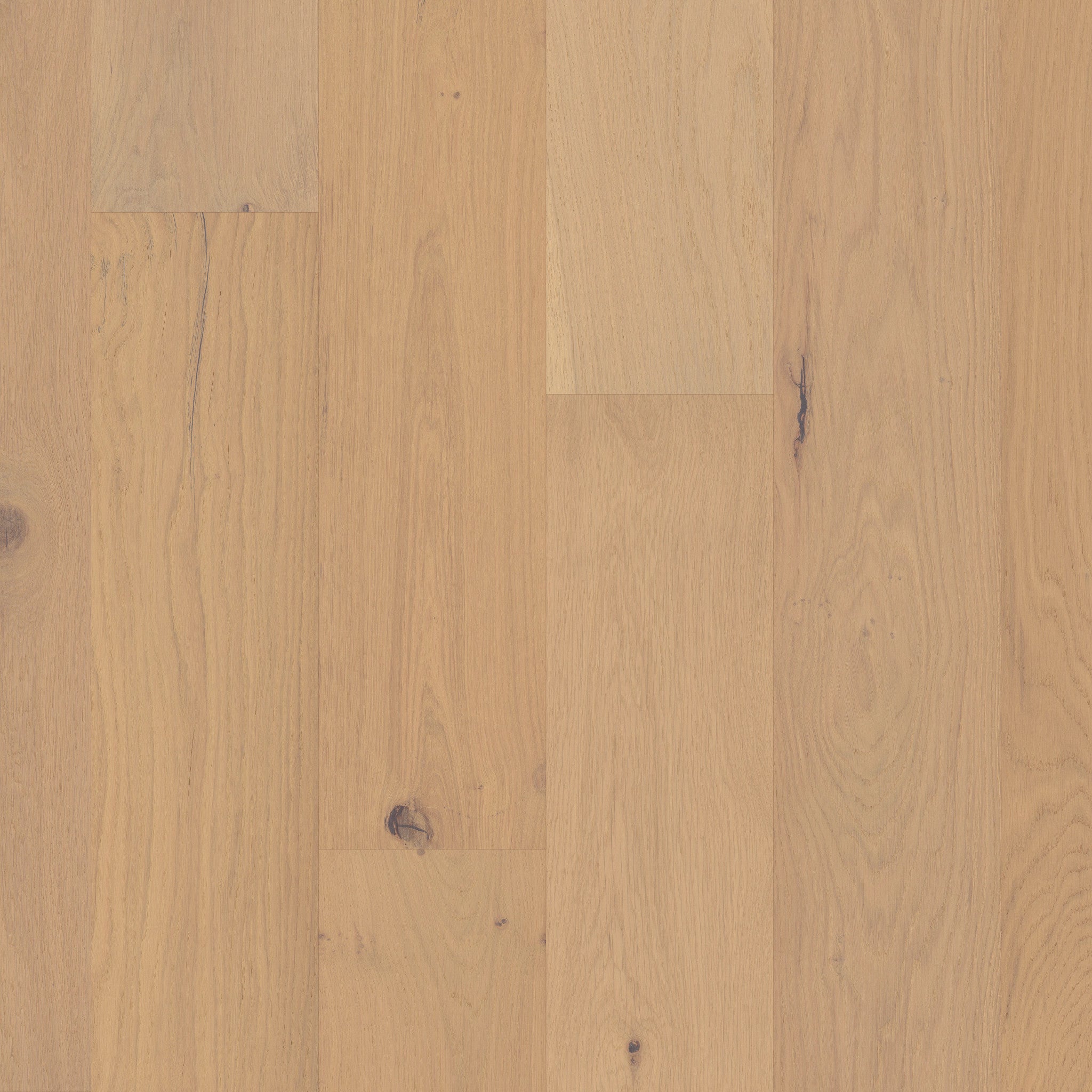 Ensemble 7.5" Wide White Oak Engineered Hardwood Flooring in Champagne | UV Aluminum Oxide Finish, 31.08 sq. ft. Carton
