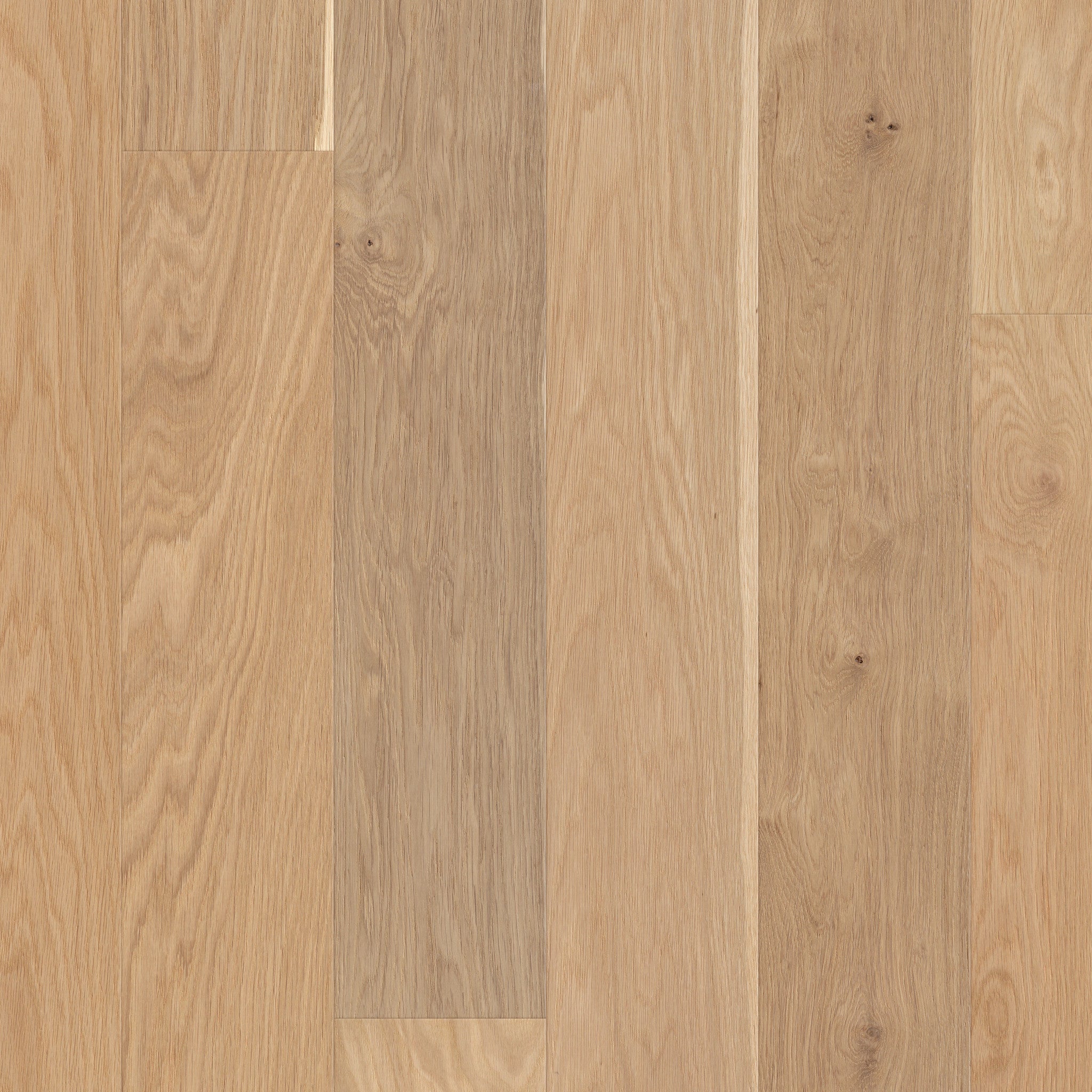 Americana Oak Eclectic 7" Wide Engineered White Oak Hardwood Flooring with Water-Resistant Repel Coating - ShippingFloors