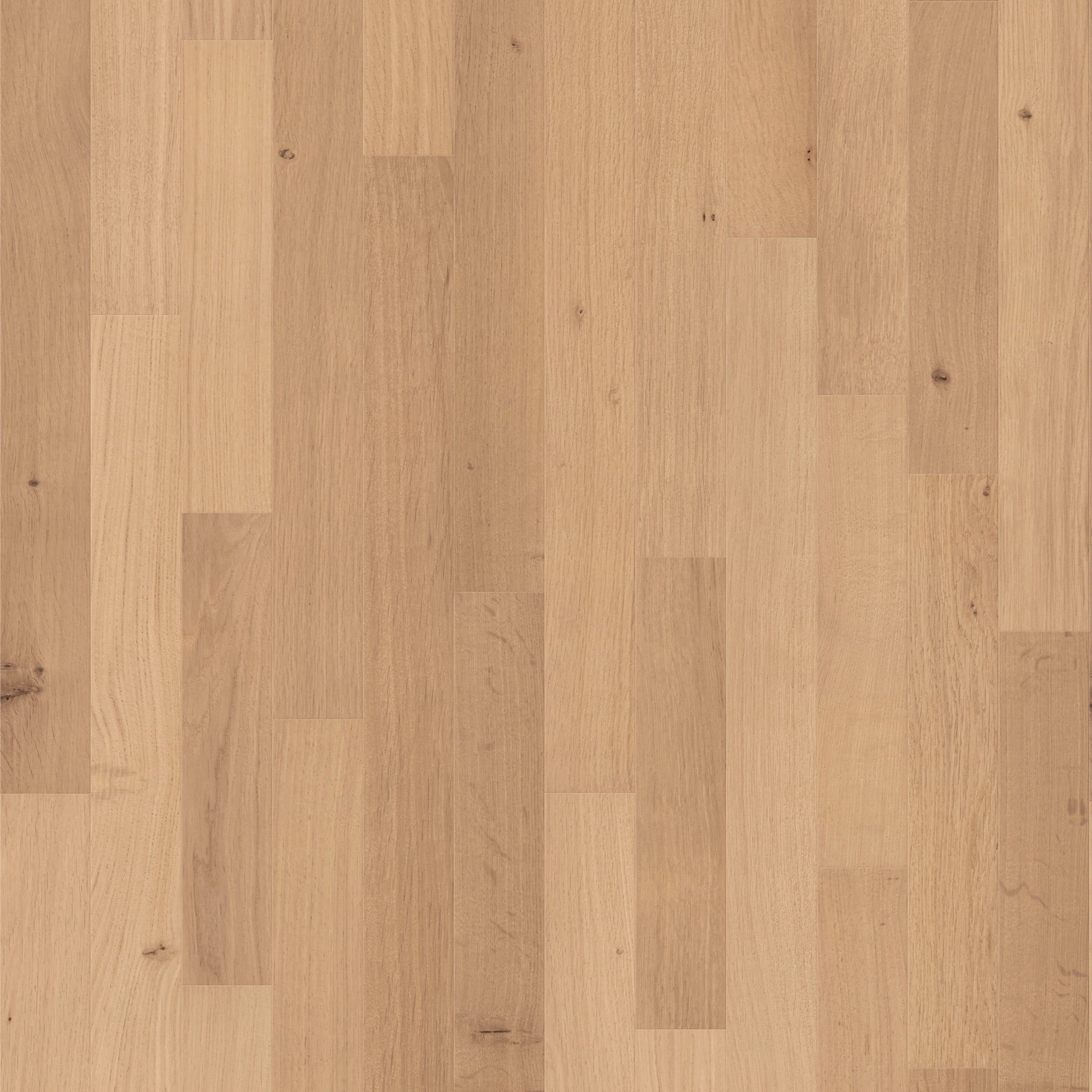 Natural Classics 3" Engineered White Oak Hardwood Flooring, 9/16" Thick, Micro Bevel, UV Aluminum Oxide Finish - ShippingFloors