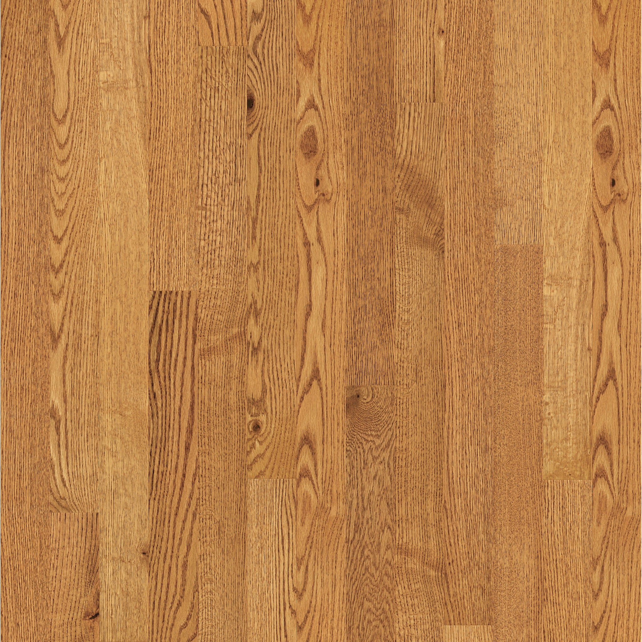 Lineage Oak 3" Engineered Hardwood Flooring in Honey - 9/16" Thick, Random Length Planks, 24.86 sq. ft. Carton