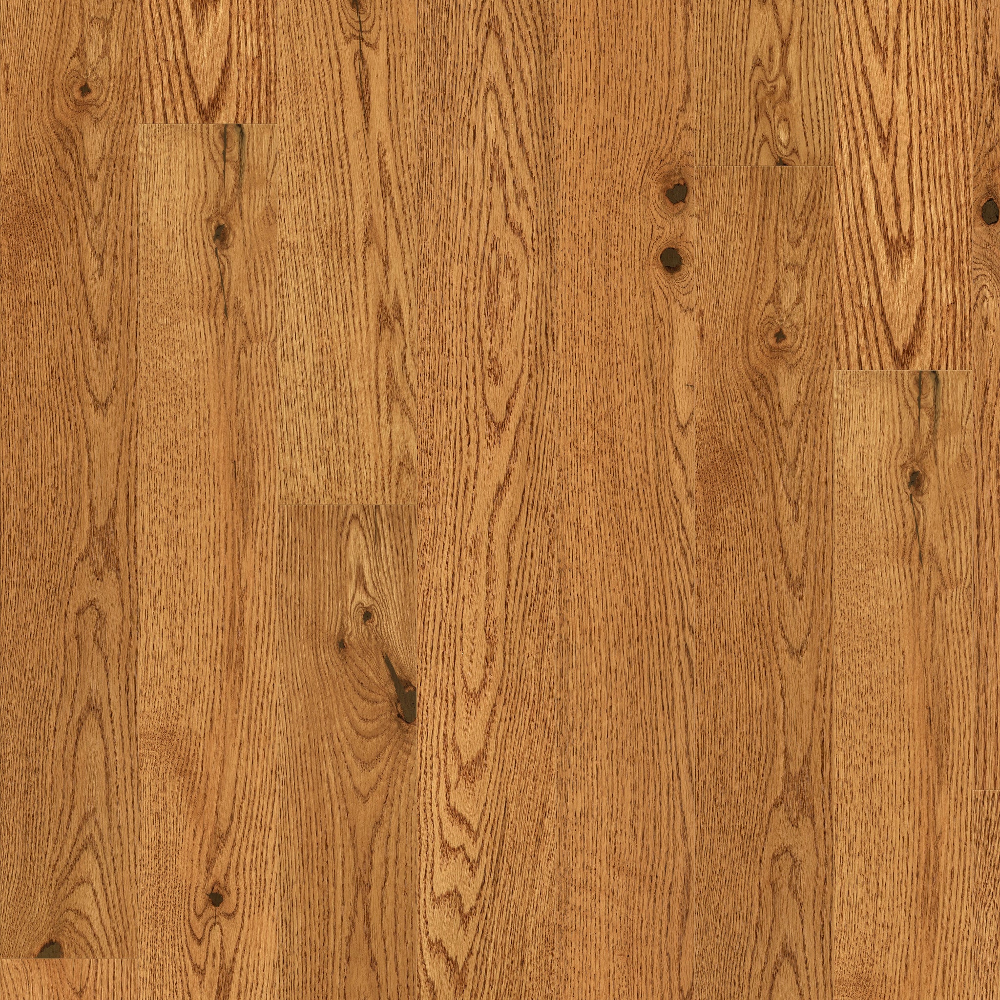 Lineage Oak 5" Wide Honey Engineered Hardwood Flooring, 9/16" Thick, Micro Bevel, Red Oak, The Gallery Collection - ShippingFloors