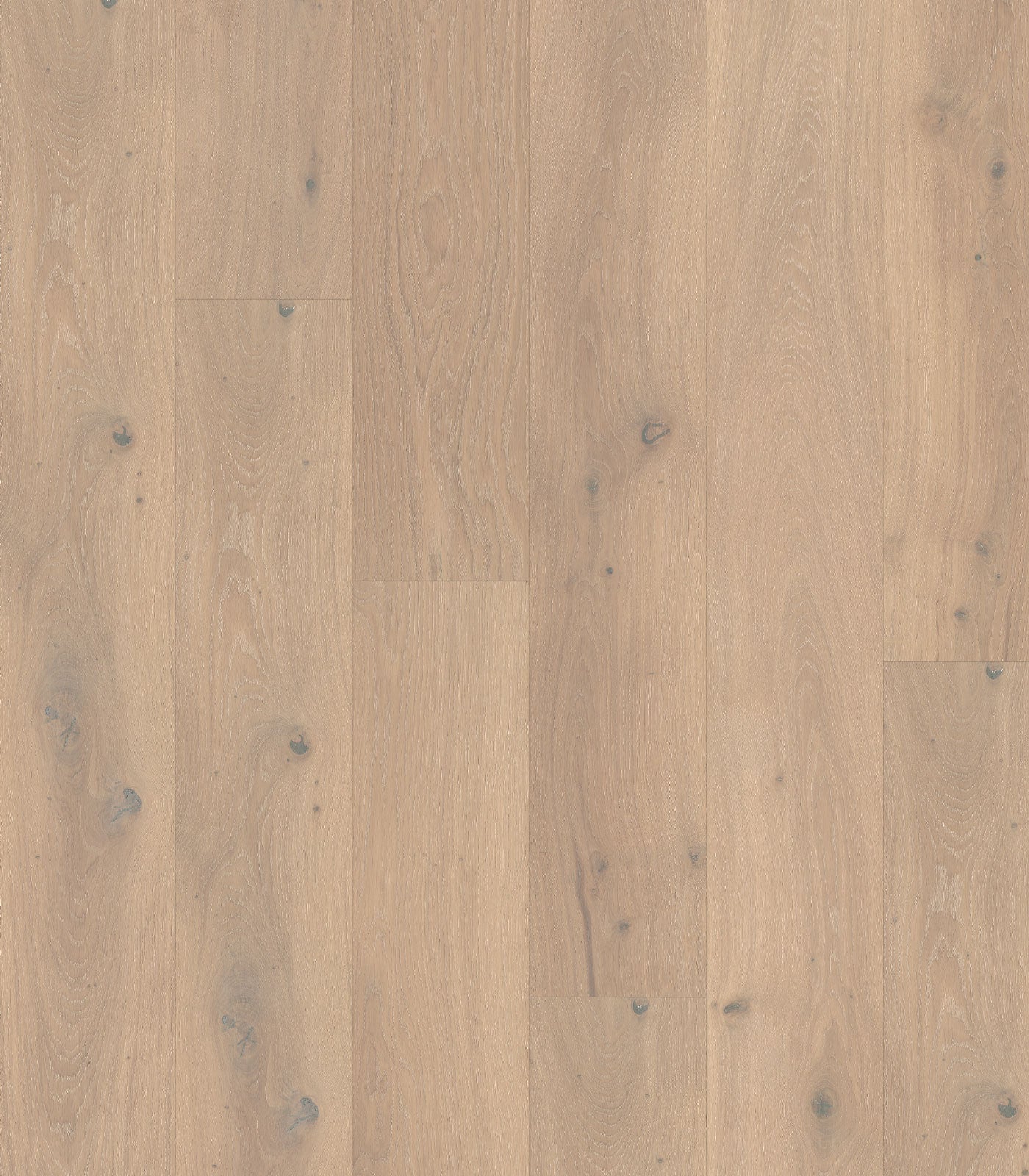Sepia Engineered Western European Oak