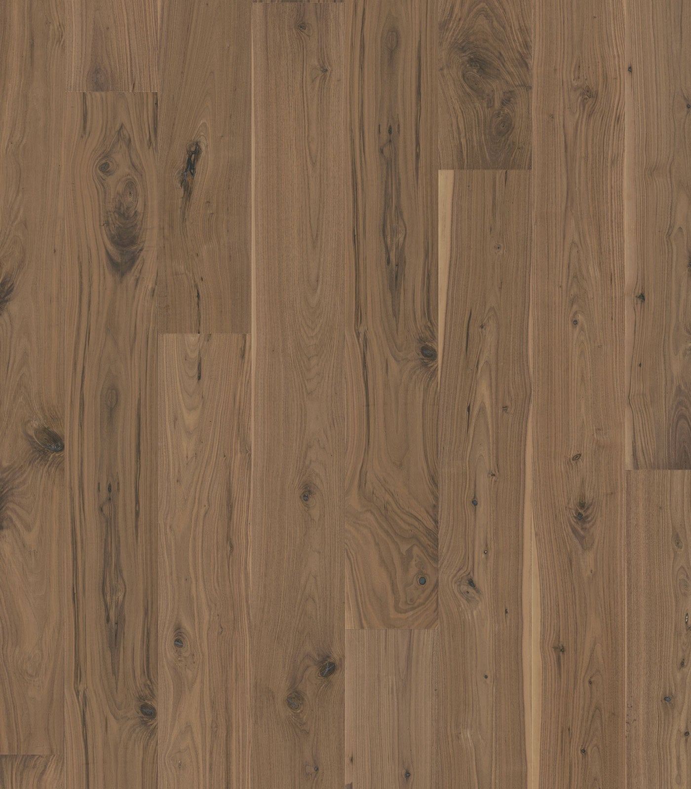 Walnut Polos Engineered Hardwood Flooring - ShippingFloors