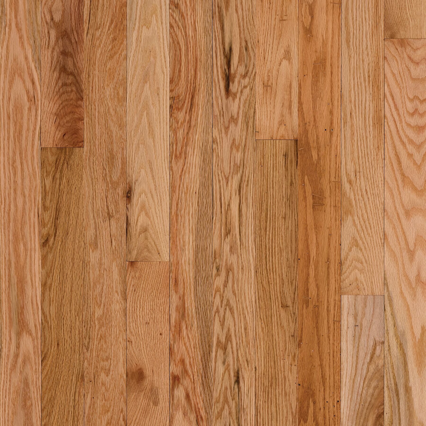St. Vincent 2-1/4" Wide Appalachian Red Oak Solid Hardwood Flooring, Natural Finish, 3/4" Thick, 20 sq. ft. per Box - ShippingFloors