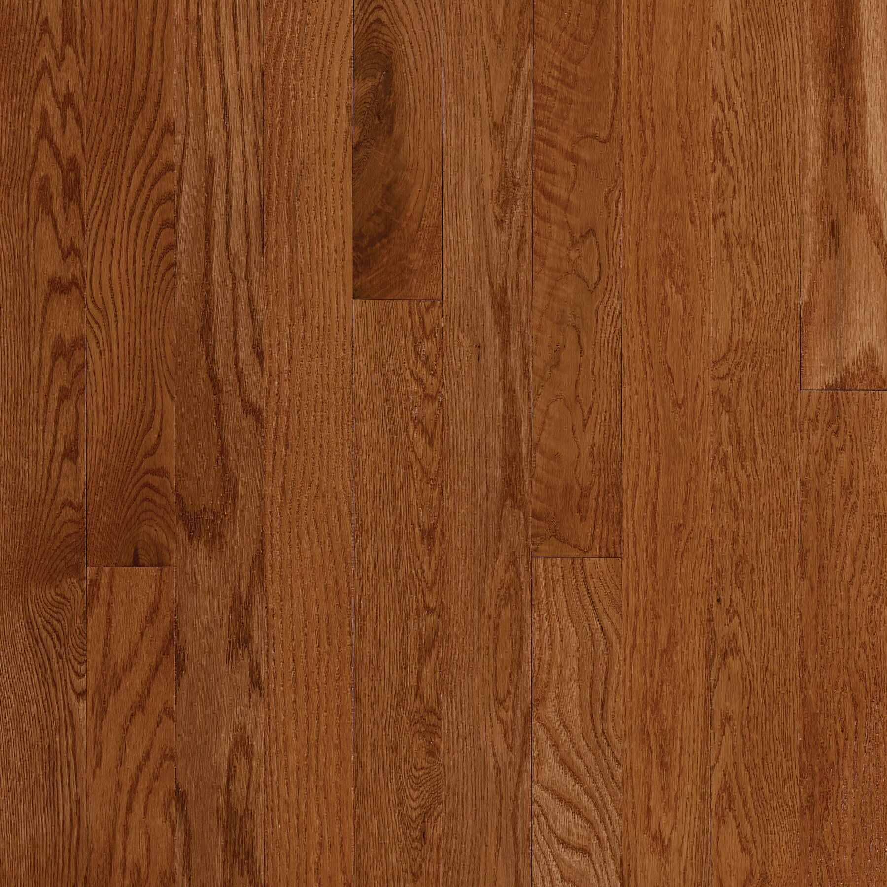 St. Vincent Gunstock Oak Solid Hardwood Flooring – 2-1/4" Wide Planks, 3/4" Thick, High Gloss Finish, Appalachian Oak - ShippingFloors