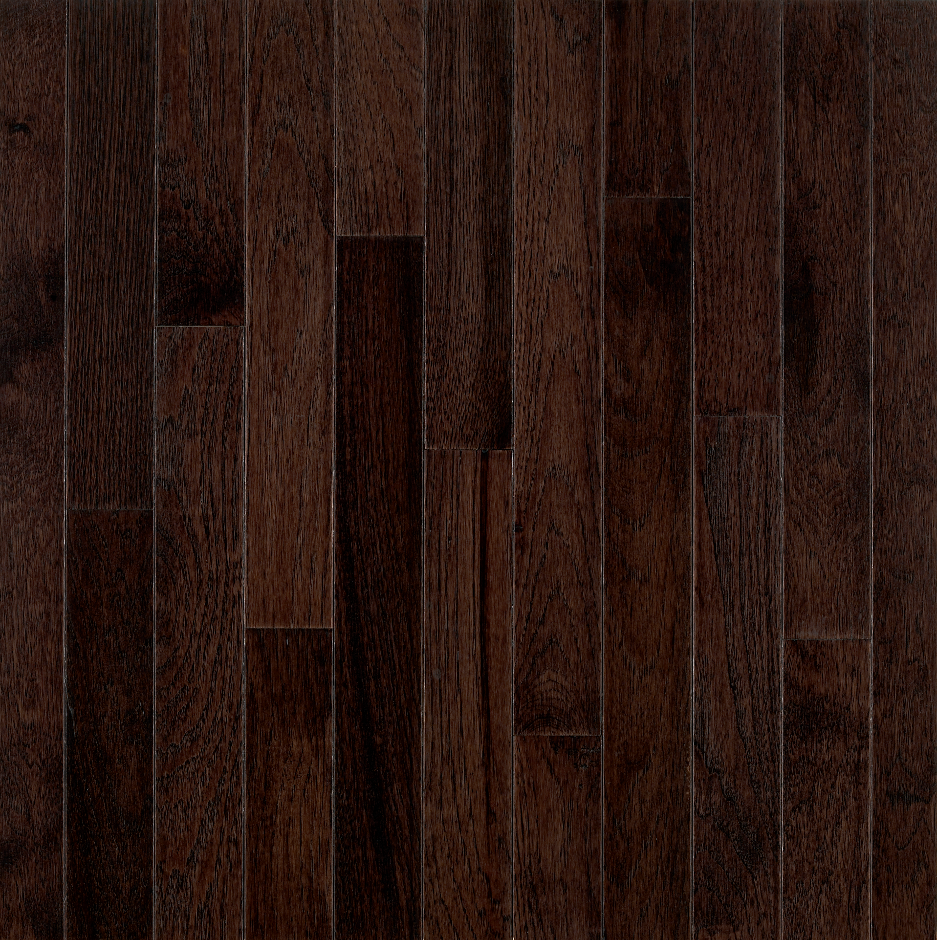 Frontier Shadow 2-1/4" Wide Hickory Solid Hardwood Flooring - 3/4" Thick, Varying Lengths, American Treasures Collection - ShippingFloors