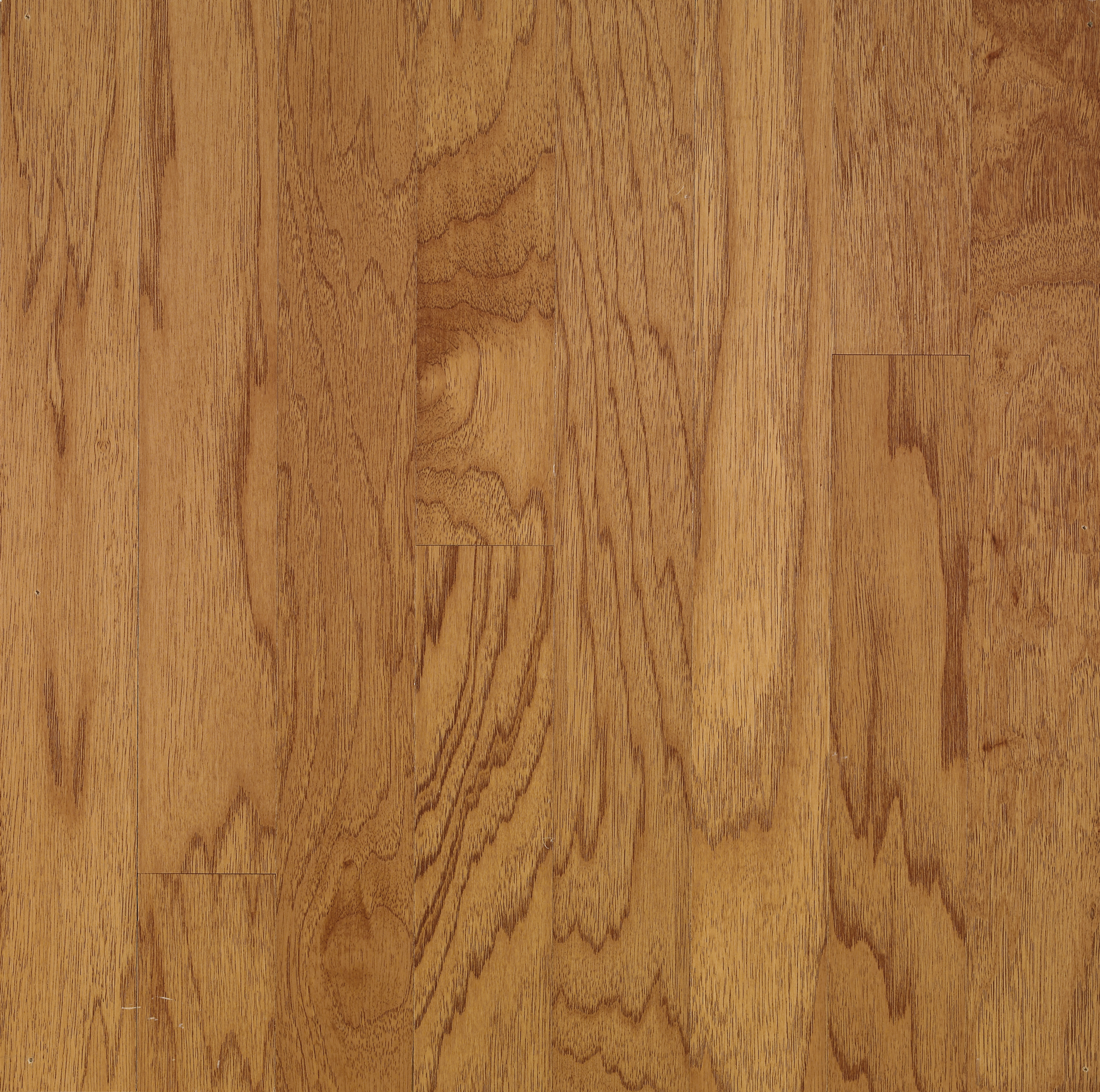 Golden Spice 5" Wide Hickory Engineered Hardwood Flooring, 3/8" Thick Planks, 10"-48" Lengths, Medium Gloss Finish